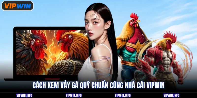 Cách xem vảy gà quý chuẩn cùng nhà cái VIPWIN