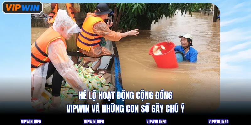 Hé Lộ Hoạt Động Cộng Đồng VIPWIN Và Những Con Số Gây Chú Ý 1 Hé Lộ Hoạt Động Cộng Đồng VIPWIN Và Những Con Số Gây Chú Ý