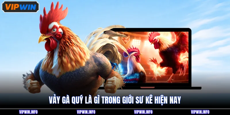 Vảy gà quý là gì trong giới sư kê hiện nay