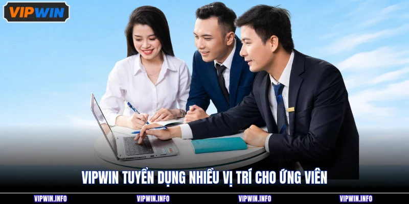 VIPWIN tuyển dụng nhiều vị trí cho ứng viên